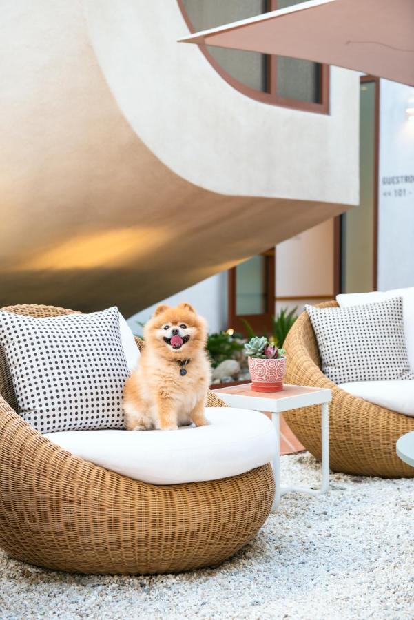 Alsace La Hotel Los Angeles Ngoại thất bức ảnh